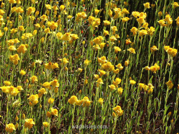 Stacks Image 179