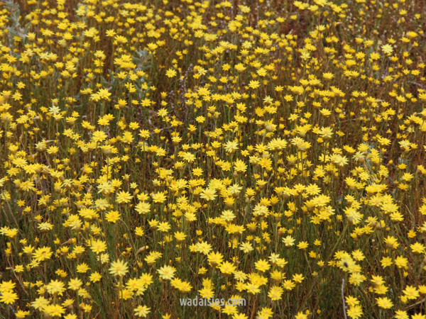 Stacks Image 344